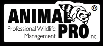 Animal Pro Inc.